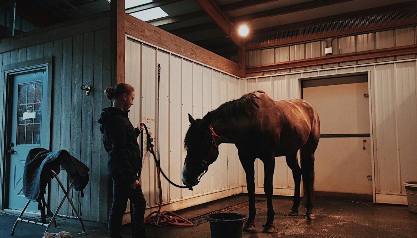 man standing in front of horse