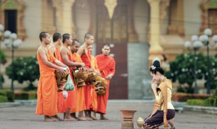 monks, praying, prayer, bangkok, asia, believe, buddha, buddhism, buddhist, cambodia, charity, culture, faith, gathering, give, human, laos, men, meditation, monastery, myanmar, burma, orange, buddha purnima, people, religion, pious, thailand, tradition, traditional, vietnamese, woman, worship, young, brown meditation, brown pray, brown human, brown buddha, brown prayer, brown culture