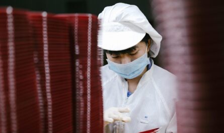 work, beautiful girl, female, work, work, work, work, work